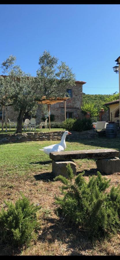 Agriturismo La Posta Reale Castiglion Fibocchi Exterior foto