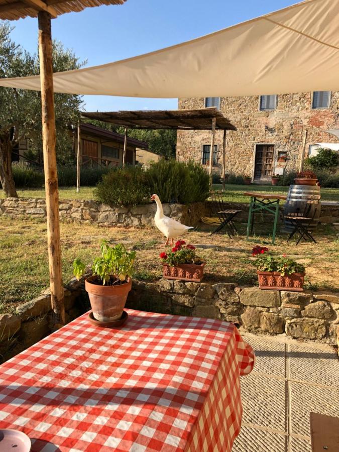 Agriturismo La Posta Reale Castiglion Fibocchi Exterior foto