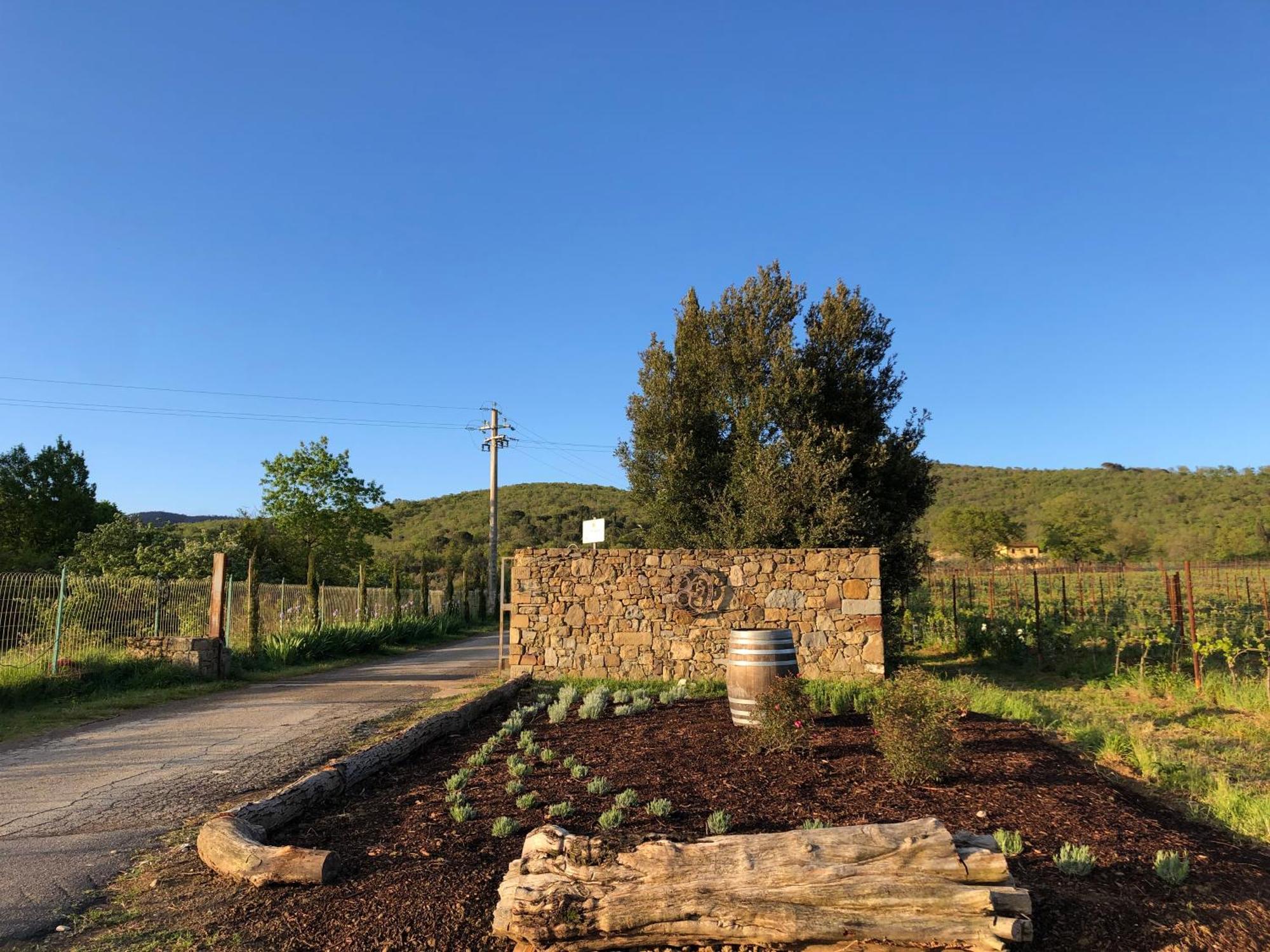 Agriturismo La Posta Reale Castiglion Fibocchi Exterior foto