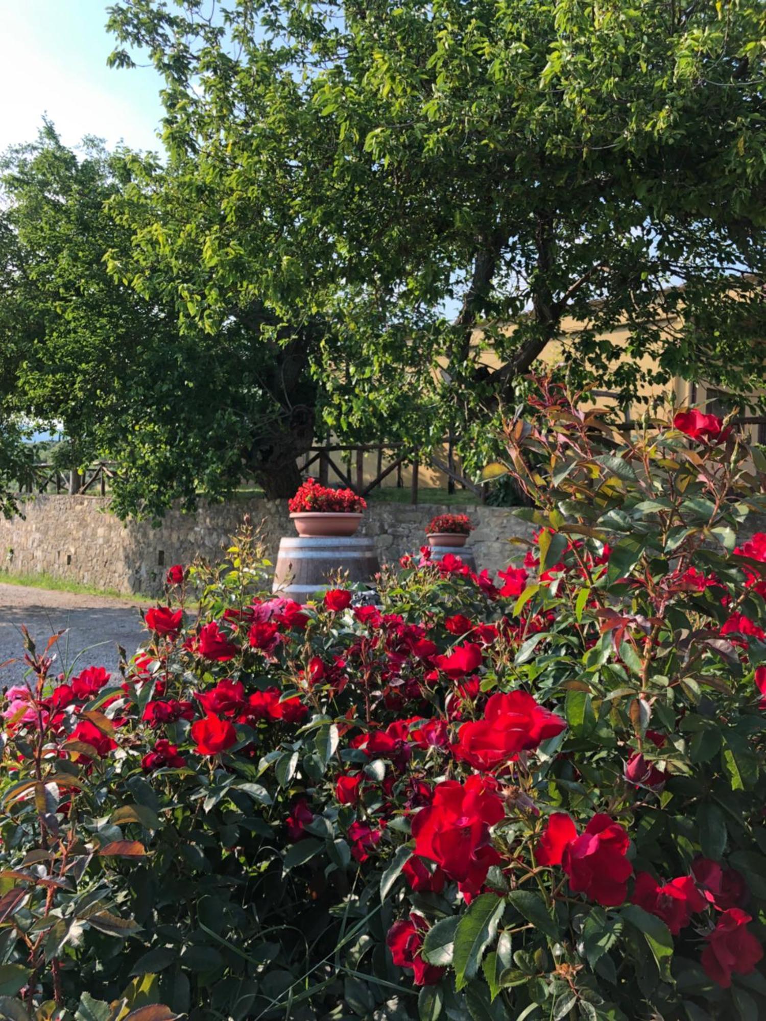 Agriturismo La Posta Reale Castiglion Fibocchi Exterior foto