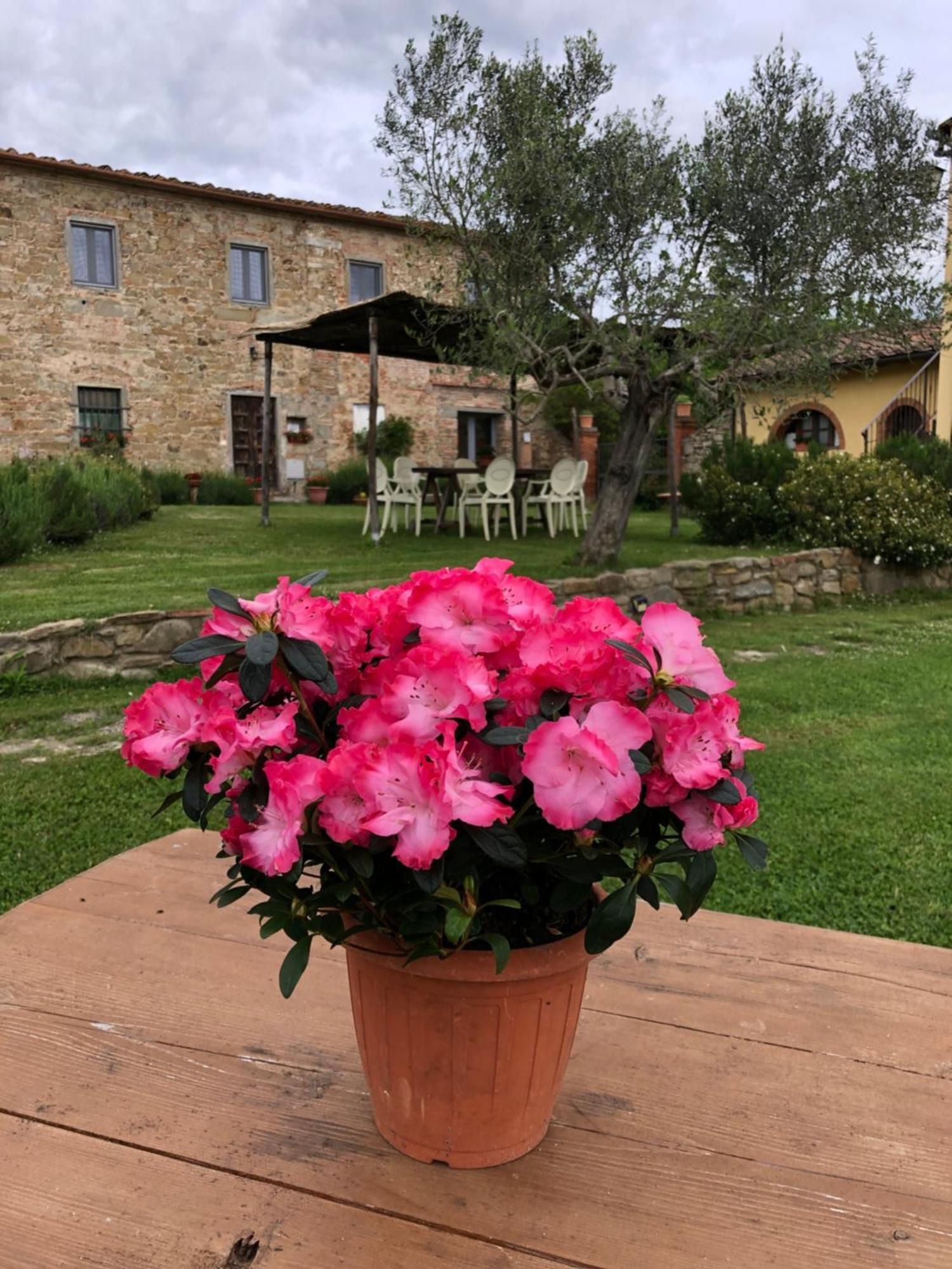 Agriturismo La Posta Reale Castiglion Fibocchi Exterior foto